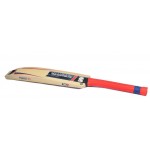 GM Purist Excalibur English Willow Cricket Bat